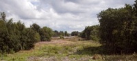 Andrew Fender, Philip Purdy and Paul Jones by route of Metrolink airport line